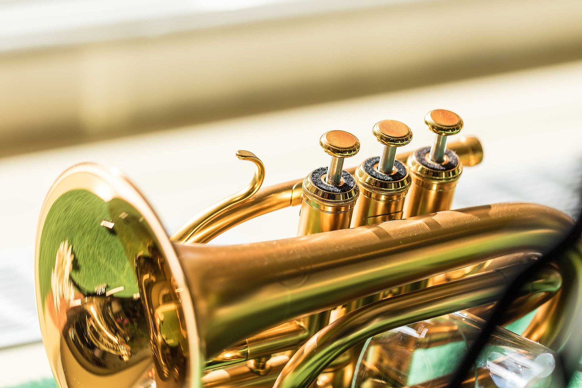 Trompete im Schaufenster eines Musikalienhandels